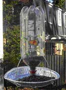bird feeder - 2 liter bottle